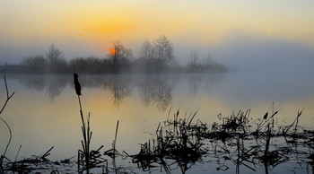 Весна. / Утренние туманы. Весна, озеро Сосновое.