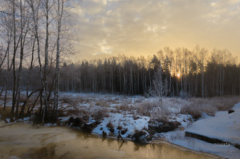 весна на пороге / Подмосковье, начало весны