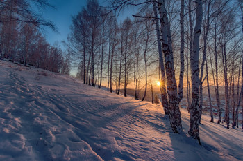 Утренние лучи / Зимнее утро на Урале