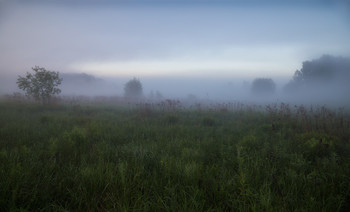 Просвет в тумане / утро, туман