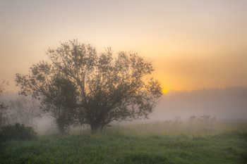 &nbsp; / Июнь 5.25