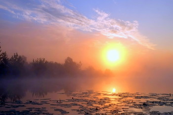 Пелена тумана. / Летние туманы. Рассвет на озере Сосновое.