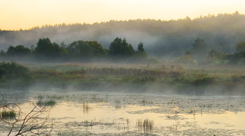 Рано утром... / Летние туманы на озере Сосновое.