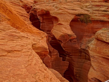 Antelope / вход в Antelope Canyon, Arizona, USA