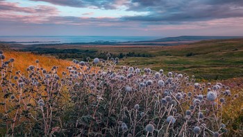 Волжский берег / Ульяновская обл. район села Паньшино. Красивые места, отличная рыбалка и охота. Единственное огорчении при съёмке - ветер, задирать ISO, не хотелось, потому и небольшие смазы.