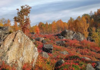 Осень а Заполярье. / Осень в г. Мурманске.