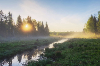 Рассветная благодать / Туманные сюжеты