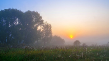 Рассвет в поле. / Первое, туманное утро осени поле.