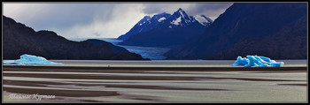 ПАТАГОНИЯ, ОЗЕРО И ЛЕДНИК ГРЕЙ / Чили. Патагония. Озеро и ледник Грей.