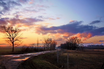 Зимний вечер / Дорога к полю,деревья,небо