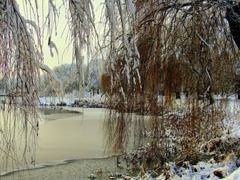 Зимняя сказка / Зима на Чижовском водохранилище