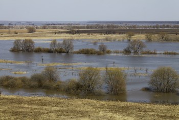 Весеннее половодье в Луховицком районе (Московская область) / Весеннее половодье в Луховицком районе (Московская область)