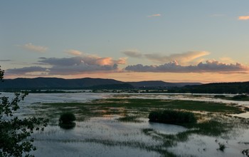 День реки. / р. Сок.