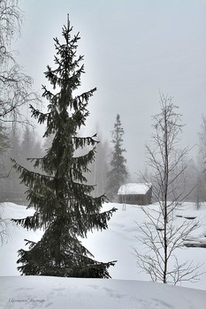 Заснеженный этюд... / Снежный март...