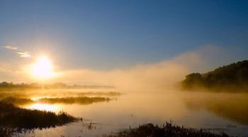 Утро, озеро Исток. / Осенние туманы на озере Исток у посёлка Белоомут. Юго-восток Московской области.
