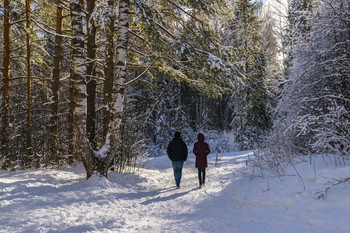 Прогулка по зимнем парку / В погожий зимний день приятно прогуляться по заснеженному парку, вдохнуть свежий зимний воздух, пообщаться на разные темы...