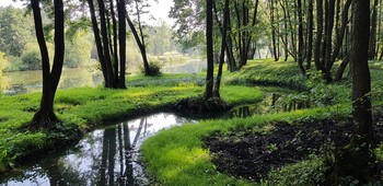 &nbsp; / Минск, парк Дрозды