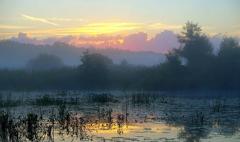 Туман на другом берегу. / Летнее утро на озере Сосновое.