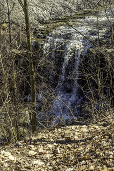 &nbsp; / This was a glimpse of the falls through the trees in this bush
