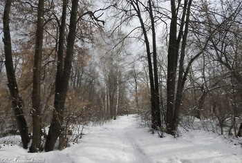 Поздняя весна / ...