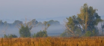 Туман в поле. / Осенние туманы.