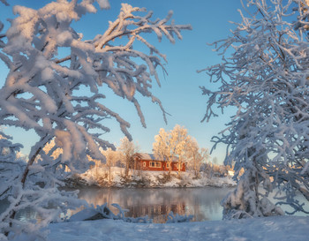 Мороз и солнце; день чудесный! / Зима на Кольском в этом году выдалась сказочной!

Озеро Имандра, Кольский полуостров, февраль 2020. (Nikon D800 + Nikkor 16-35F4 VR, F16, 1/100s, iso250, 31mm).