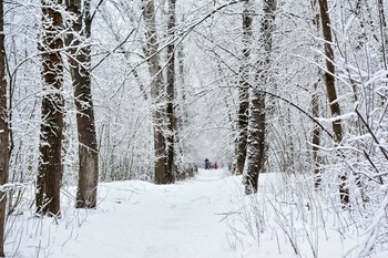 Марта игривость ... / Марта игривость как вешний гипноз
Меры строптивой – неугомонность
Трансшаловливо диктует всерьёз
Первовздыхателю лунный прогноз
Необратимо – встречу с любовью…

(Рындин)