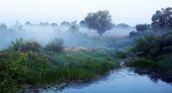 За туманом туман. / Летний утренний туман в поле у озера.