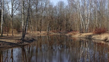 Весна... / Природа...