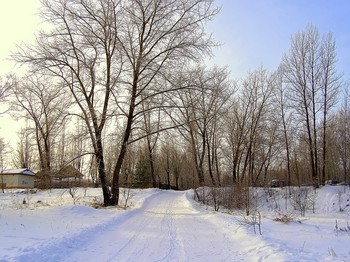 Зима в деревне / Зима в пригороде Минска