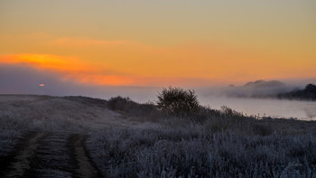 Солнце пробирается сквозь туман. / Туманное утро у озера Исток. Юго-восток Московской области.