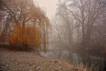 &nbsp; / Am frühen Morgen sieht der Fluss und seine Bäume im Herbst noch so verträumt aus