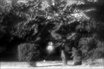 &nbsp; / Описывать фото словами??? Может ещё объяснять смысл анекдотов?