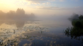 Летний туман. / Раннее летнее утро на красивом озере Сосновое.