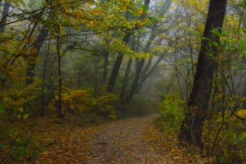 В старом парке........ / Железноводск. Октябрь