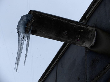 В той или иной форме / 2020-03-02-29-C000-098(80)+C