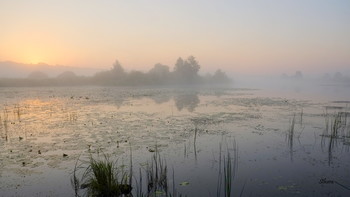 В тумане. / Летние туманы.