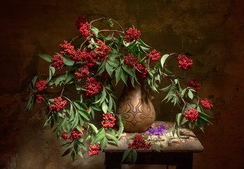 Бузина... / Бузина...