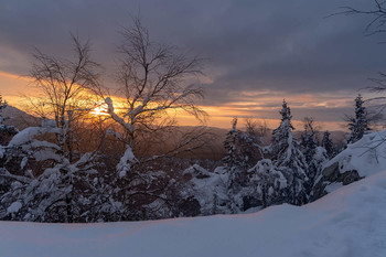 &nbsp; / рассвет,горы,деревья