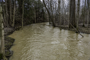 &nbsp; / The spring water this year is really high