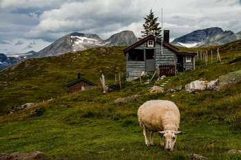 &quot;...Где живут пожилые крестьяне...&quot; / tafjord