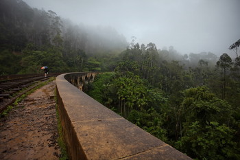 Дорога домой / Девятиарочный мост в джунглях Шри Ланки, построен на деньги английских колонистов для перевозки чая.