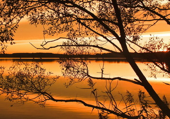 Morning / Тишина над озером