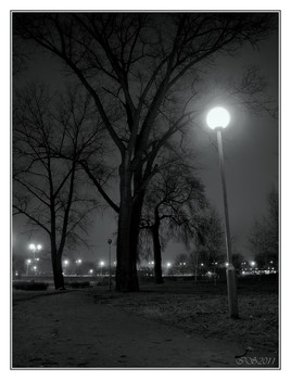 ночь, деревья, фонарь ... / [img]https://i.imgur.com/geaF8aa.jpg[/img]