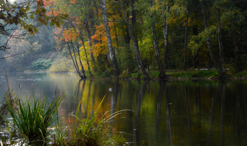 Есть в осени первоначальной............ / Петербург. Осиновая Роща. Октябрь