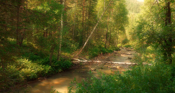 В летнем лесу... / ручей течет