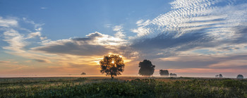 Ранок у полі... / 17.08.2016