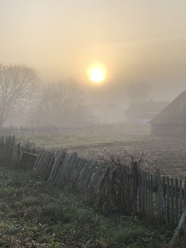 Утро в деревне / Беларусь деревня