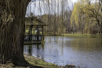 &nbsp; / This beautiful park had large willow trees all around it