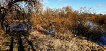 ВЕСЕННИЕ ДЖУНГЛИ У ВОДЫ / на Ульянке на реке